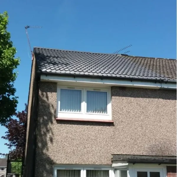 Roof Replacement